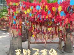 -黄龙溪古镇