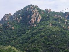 -大岭沟猕猴桃谷风景区