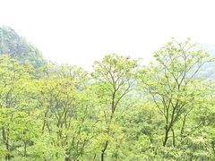 -大慈岩风景区