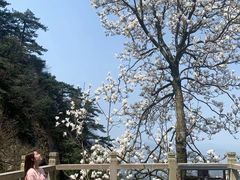 -九华山风景区