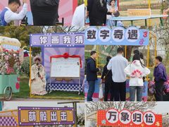 -荷兰花海