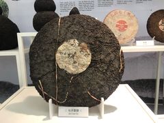 -中国茶叶博物馆(双峰馆区)