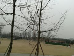 -府河摄影公园