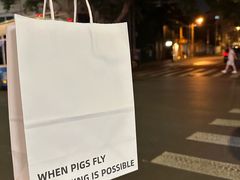 -WHEN PIGS FLY当猪飞