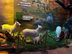 -威海华夏城景区