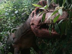 -呀路古热带植物园