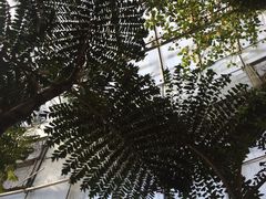 -北京植物园-展览温室