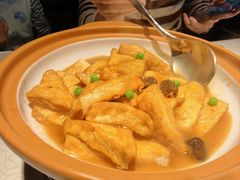 羊肚菌焖河源豆腐-大鸽饭(动物园店)