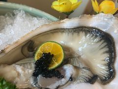 -本家食堂(华南店)