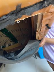 -海贝尔儿童乐园(隆兴购物广场店)