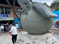 -广东惠东海龟国家级自然保护区
