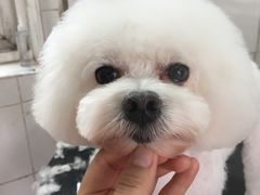 -萌萌喵宠物(百水芊城阅水坊店)