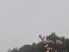 -灵山