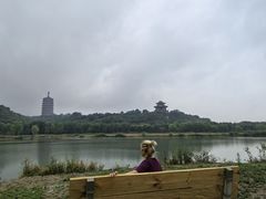 -永定河休闲森林公园