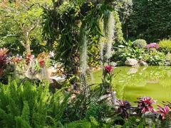-深圳仙湖植物园