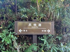 -深圳仙湖植物园