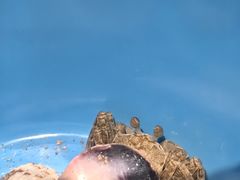 -硇洲岛旅游区