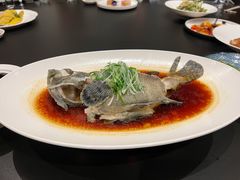 清蒸刁白鱼-禧宴Joyous Restaurant(禧园店)