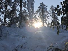 -瓦屋山景区
