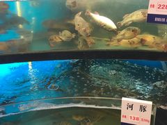 -莆鑫海鲜城(浏河店)