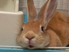 -fishtank鱼缸咖啡(三山街店)