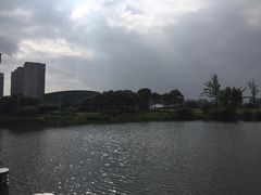 -新江湾城公园
