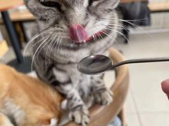 -平行世界·猫咖(首经贸店)