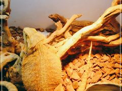 -昆明大悦城未来动物城(螺蛳湾中心店)