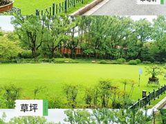 -申粤轩酒楼·三十年粤菜经典(丁香花园店)