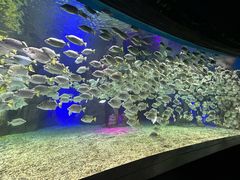 -北海海底世界