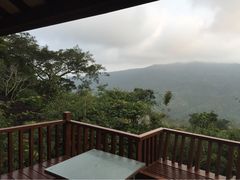 亚龙湾人间天堂-鸟巢度假村-三亚亚龙湾人间天堂鸟巢度假村