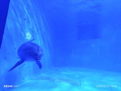 -多彩贵州城极地海洋世界