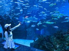-海合安成都极地海洋公园