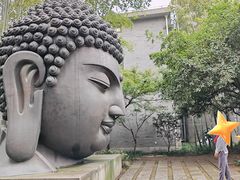 -杭州植物园