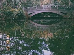 -人民公园(罗湖区)