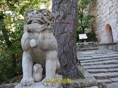 -大芦花风景区