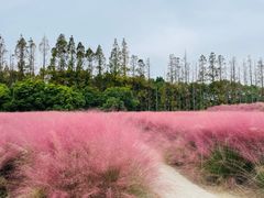-嘉北郊野公园