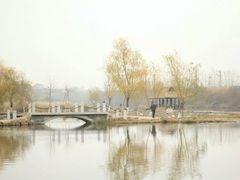 -前关湿地公园