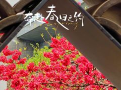 -北京奥林匹克公园
