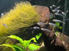 -太平洋海底世界