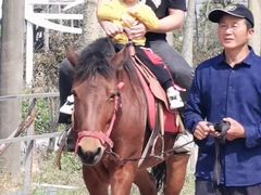 -广东花都香草世界旅游度假区