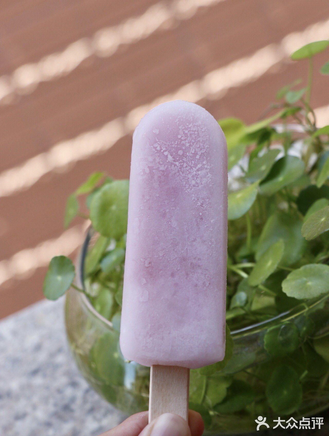 水果味冰棒就选这个零度企鹅玫瑰荔枝味