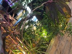 -木屋烧烤(坂田天安云谷店)