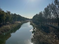 -东郊湿地公园