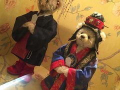 -济州岛泰迪熊博物馆