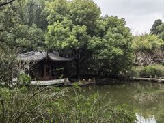 -汇龙潭