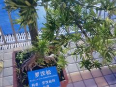 -矿泉游泳场