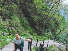 -王顺山国家森林公园