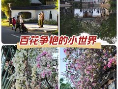 -深圳国际园林花卉博览园