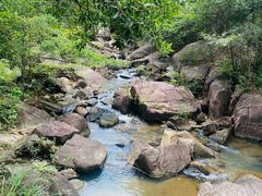 -广州白江湖森林公园